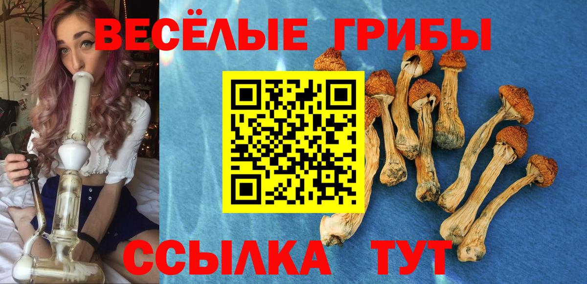 Галлюциногенные грибы MAGIC MUSHROOMS  Вход с VPN  Великие Луки  Псилоцибиновые грибы ЛСД 