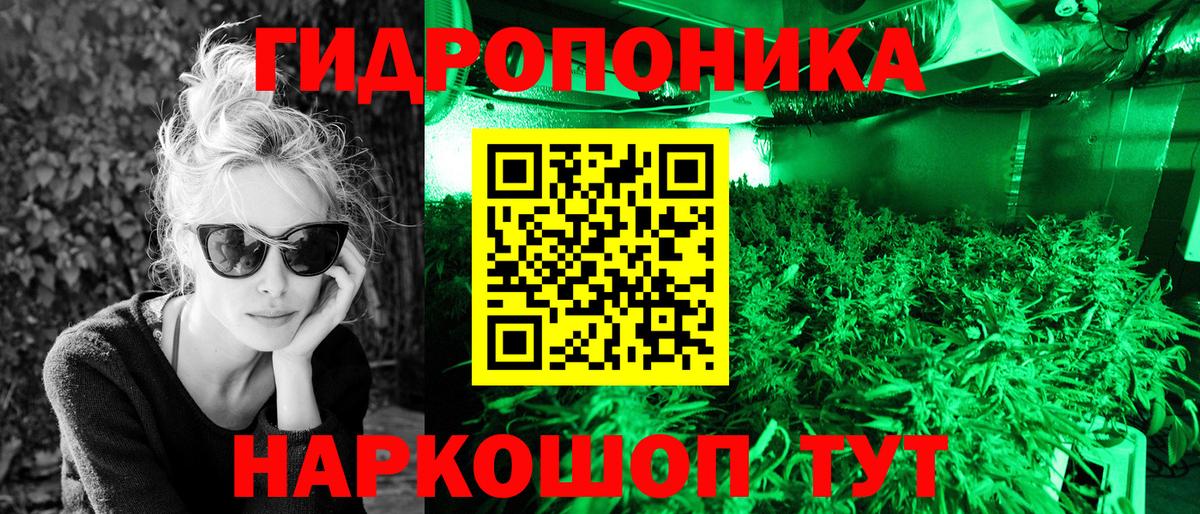 МАРИХУАНА ГИДРОПОН Великие Луки